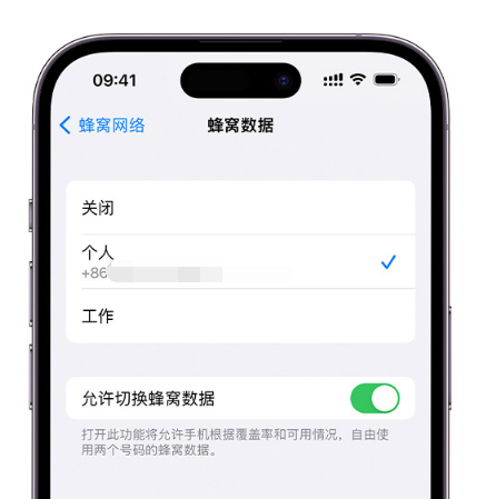 桂东苹果维修服务分享如何在iPhone上使用双卡 